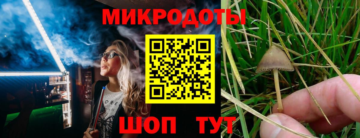 Псилоцибиновые грибы мухоморы Дзержинск